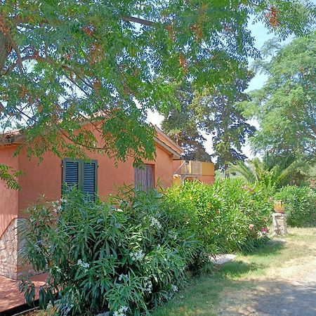 Il Giogo Agriturismo Розиньяно-Мариттимо Экстерьер фото