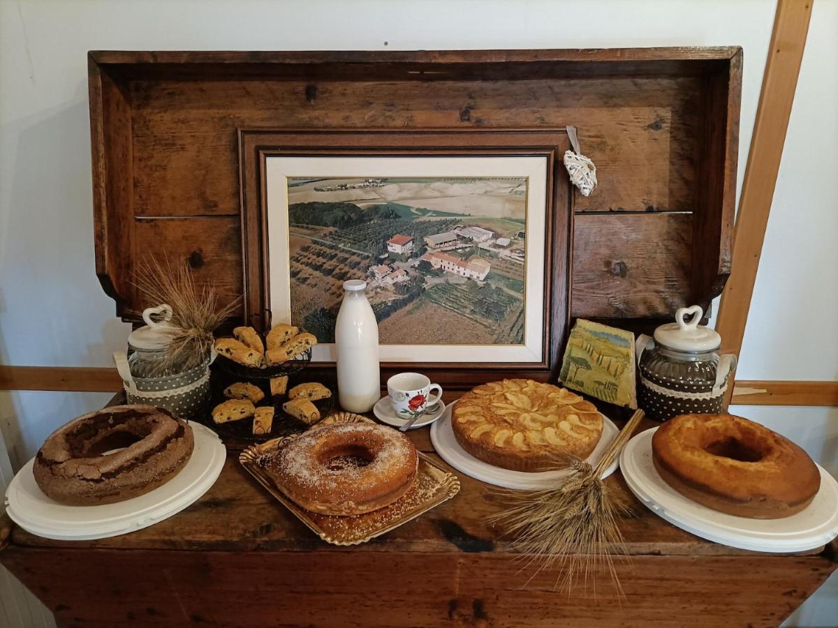 Il Giogo Agriturismo Розиньяно-Мариттимо Экстерьер фото