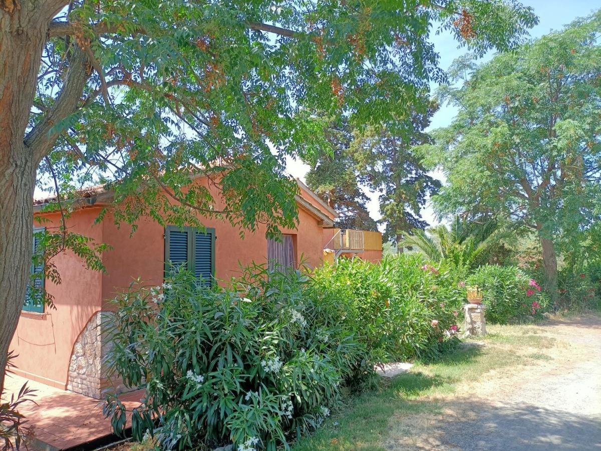 Il Giogo Agriturismo Розиньяно-Мариттимо Экстерьер фото