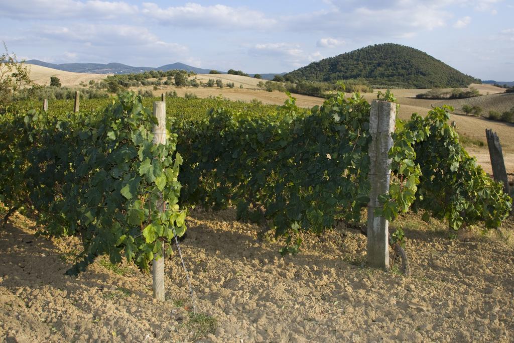 Il Giogo Agriturismo Розиньяно-Мариттимо Экстерьер фото