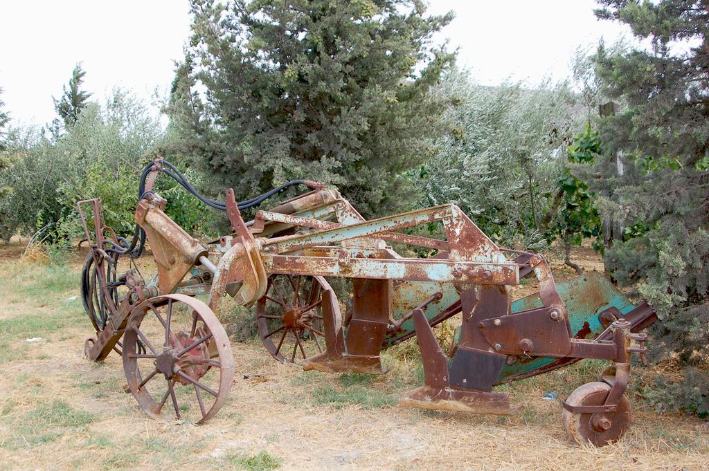 Il Giogo Agriturismo Розиньяно-Мариттимо Экстерьер фото